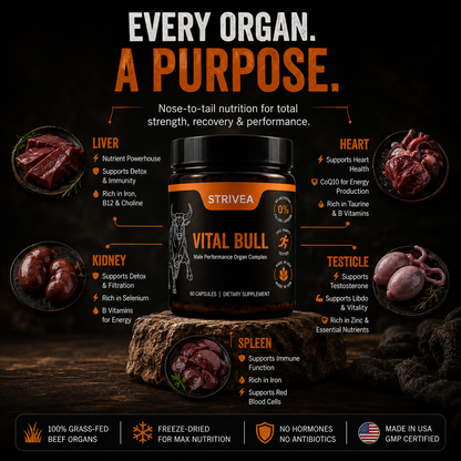 Beef Organ Complex – The Nutritional Secret Big Pharma Doesn't Want You to Know